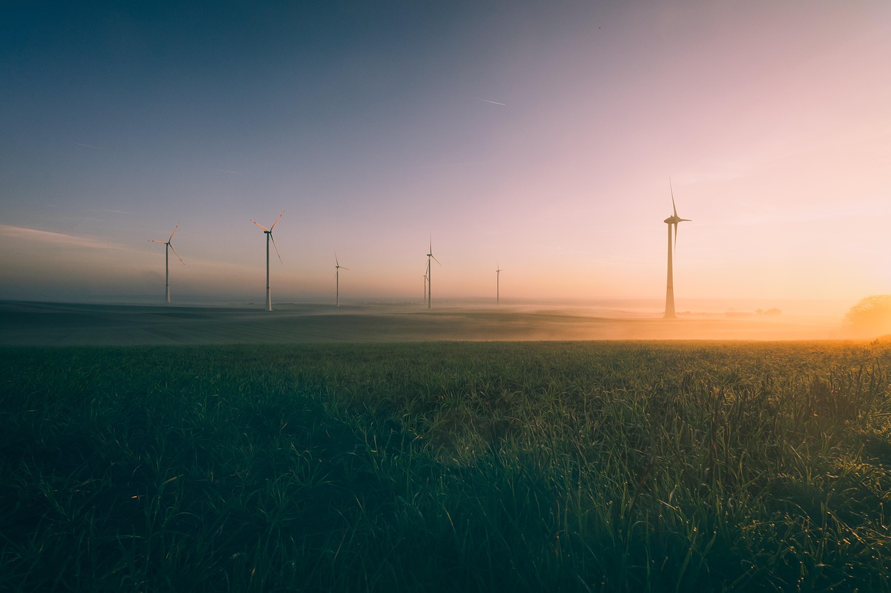 découvrez comment réussir la transition écologique grâce à des solutions innovantes et durables pour protéger l'environnement et favoriser un avenir responsable.