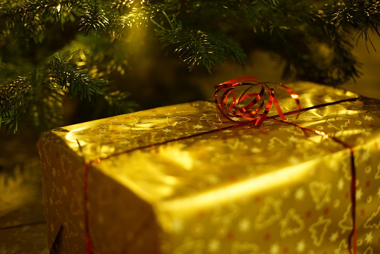 Quels cadeaux de Noël propose le comité d’entreprise Gustave Roussy en 2025 ?