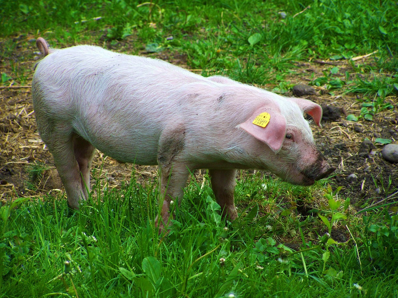 Quels avantages automobiles propose le comité d’entreprise Safran en 2025 ?