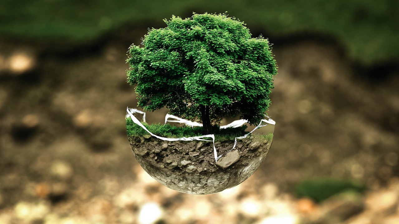 découvrez comment garantir la conformité environnementale de votre entreprise grâce à des conseils, outils et réglementations pour respecter les normes écologiques tout en réduisant votre impact environnemental.