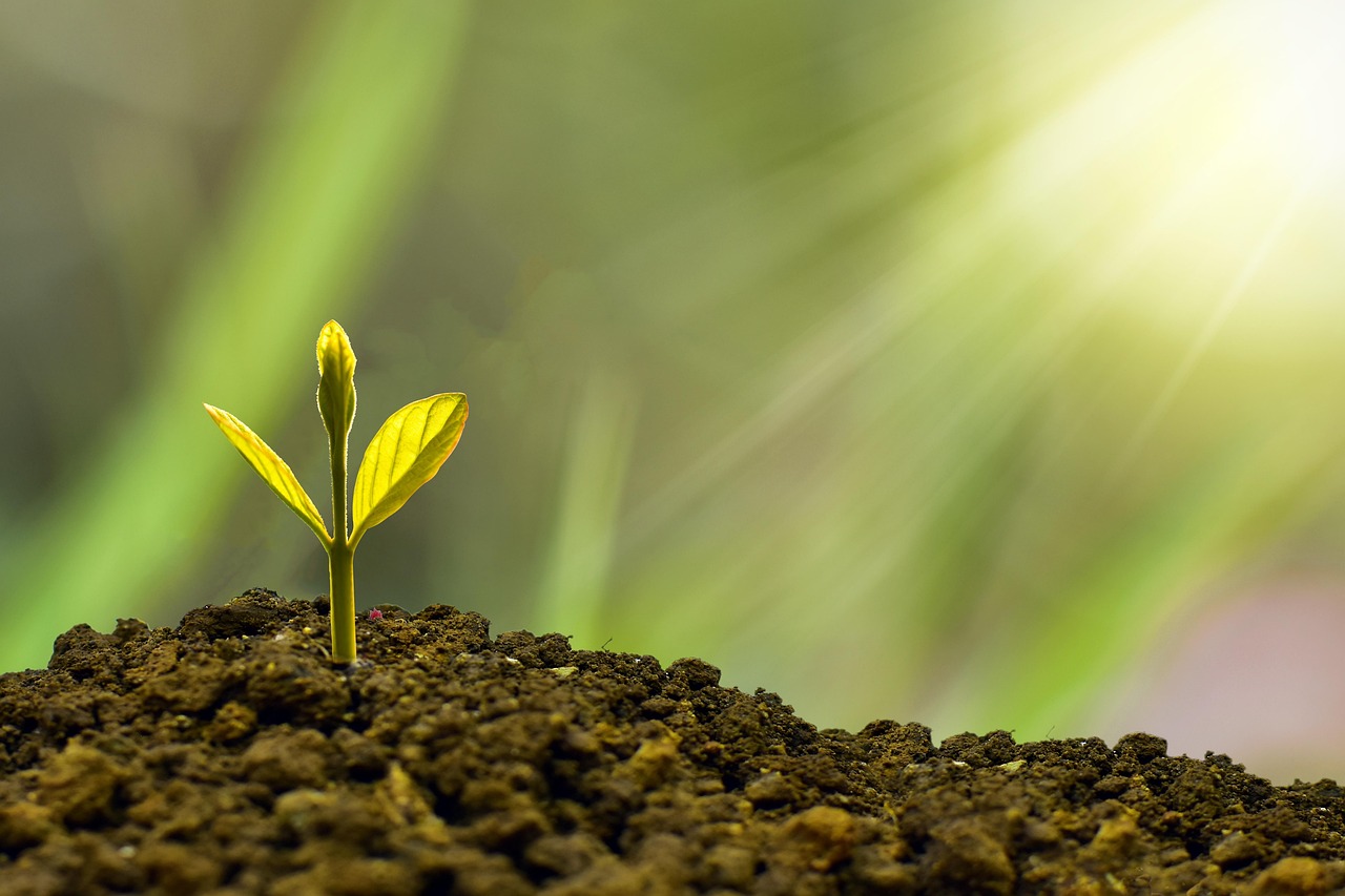 découvrez comment assurer la pérennité financière de votre entreprise grâce à des stratégies efficaces, des outils adaptés et des conseils d’experts pour une croissance durable.