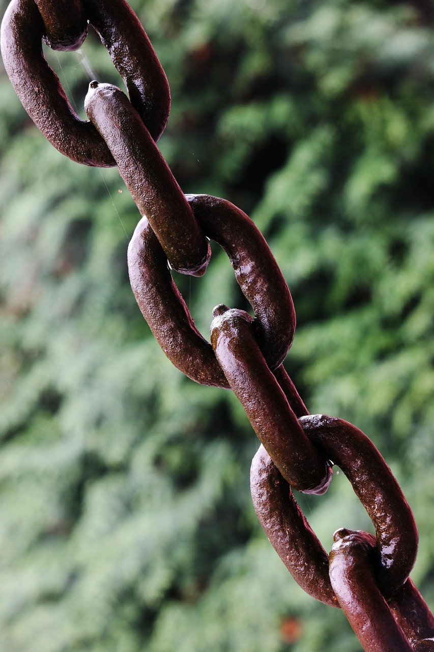 découvrez comment la green supply chain permet aux entreprises d’optimiser leur chaîne d’approvisionnement tout en réduisant leur impact environnemental. solutions, avantages et bonnes pratiques pour une logistique durable.