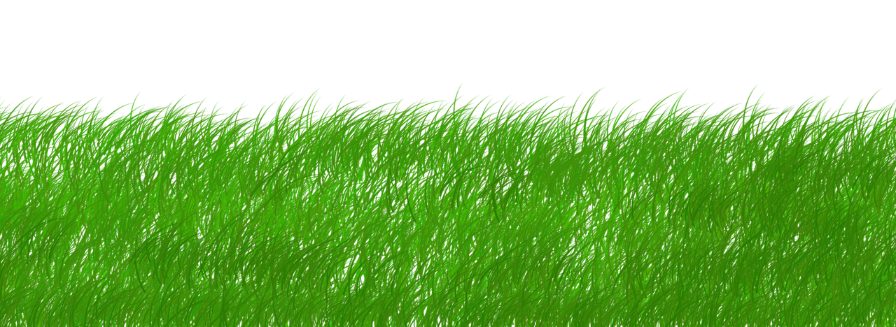 découvrez comment la durabilité façonne l'avenir en conciliant développement économique, préservation de l'environnement et bien-être social. explorez des solutions innovantes pour adopter un mode de vie durable au quotidien.