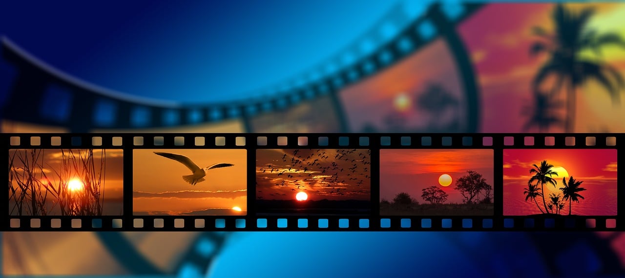 découvrez nos images captivantes, parfaites pour illustrer vos projets, articles ou réseaux sociaux. haute qualité, thèmes variés, inspiration garantie !