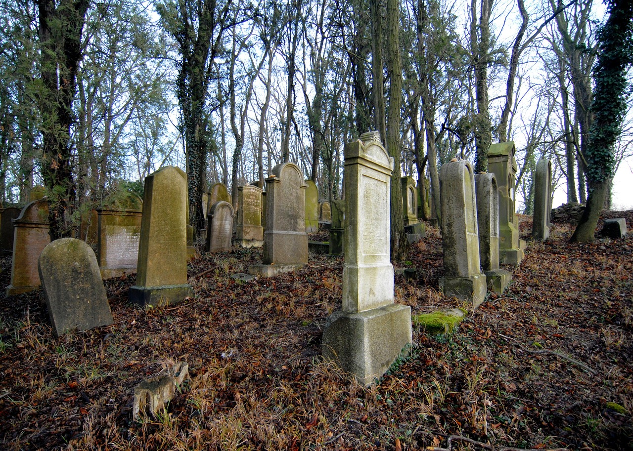 découvrez les démarches essentielles pour la dissolution d'une sasu, les formalités légales à respecter et les conseils pour une clôture réussie de votre société.