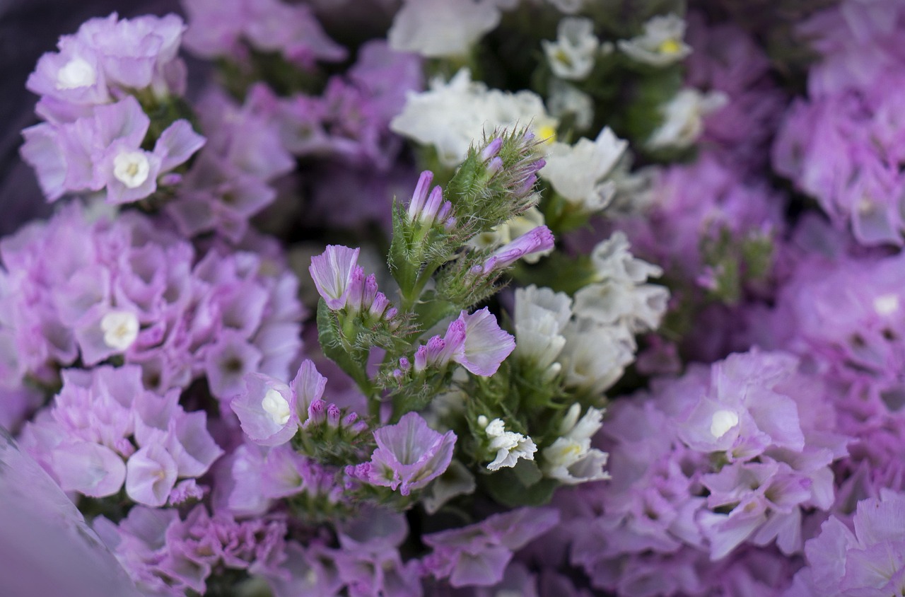 découvrez comment transformer une sas en sasu facilement et rapidement grâce à notre guide complet et toutes les étapes nécessaires.